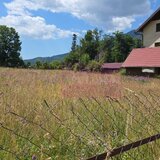 Teren 1000 mp cu view superb in Busteni